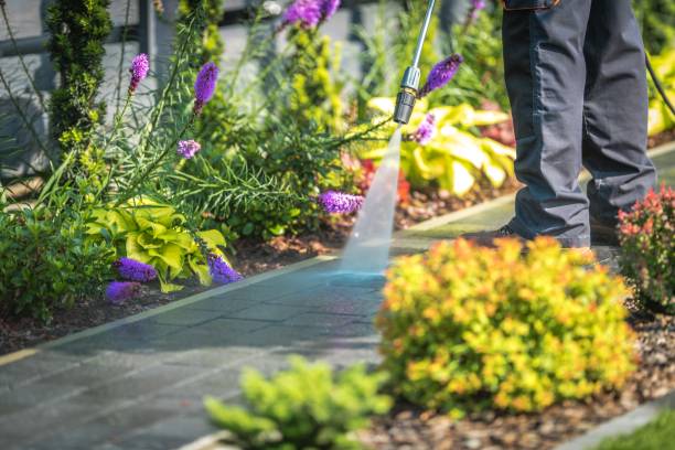 Best Spring Cleaning  in Honeoye Falls, NY