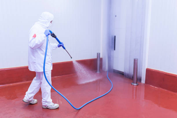 Best Rust Removal  in Honeoye Falls, NY
